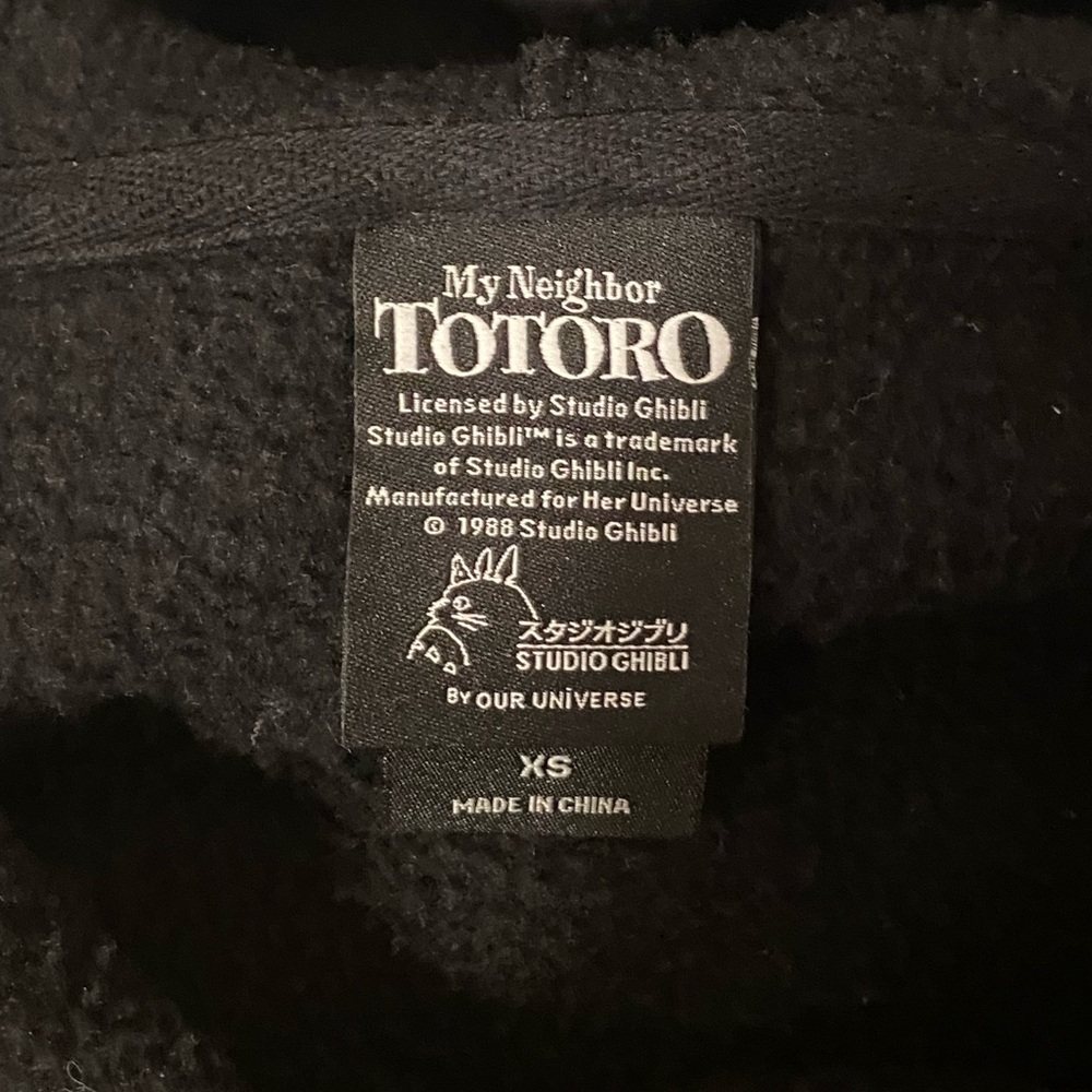 Unisex My Neighbor Totoro Floral Embroidered BoxLunch Exclusive Pullover Hoodie - Picture 7 of 12